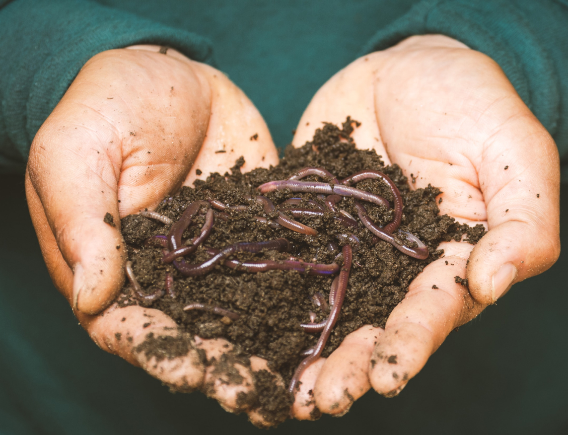‘Train the Trainer’ Composting and Worm Farming Workshop