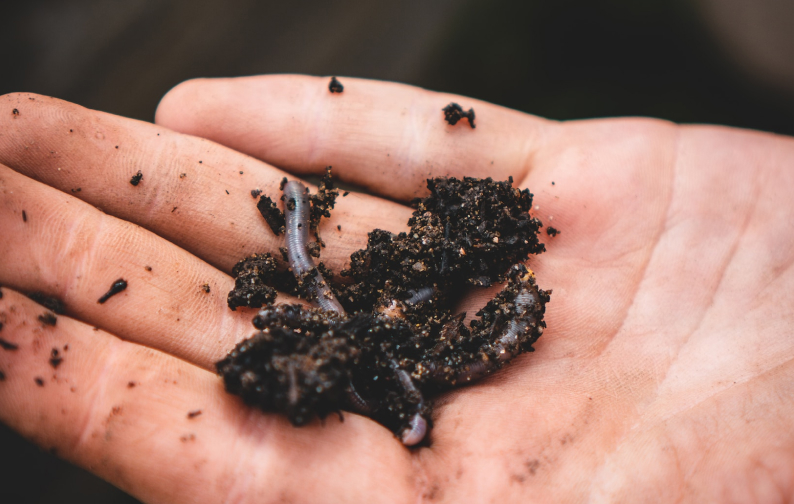 Measuring the long term impacts of community Composting and Worm Farming workshops