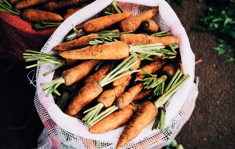 Logan City Council’s Think Food, Rethink Waste Recipe Cards