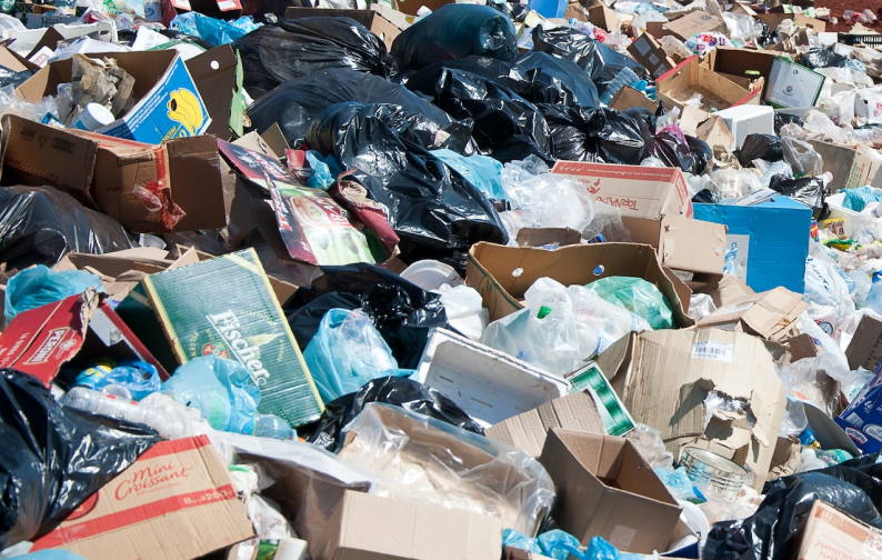 Demystifying Waste Auditing